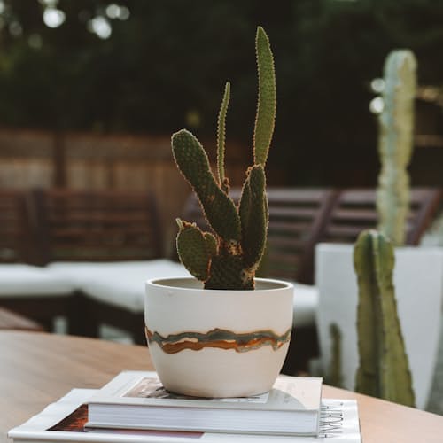laydown image of Oasis Planter