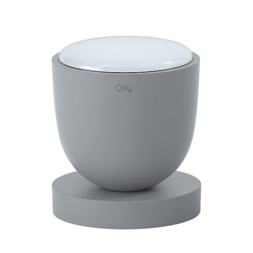 laydown image of Olly Day