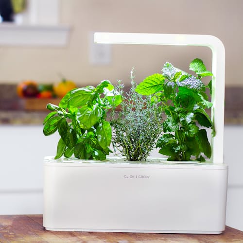 laydown image of Mini Smart Garden