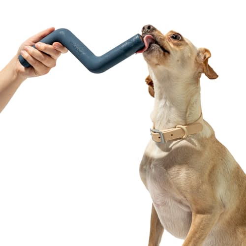 laydown image of All Natural Dog Toy Kit